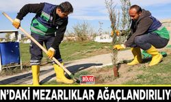 Van’daki mezarlıklar ağaçlandırılıyor