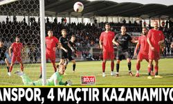 Vanspor, 4 maçtır kazanamıyor