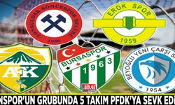 Vanspor'un grubunda 5 takım PFDK'ya sevk edildi