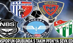 Vanspor'un grubunda 5 takım PFDK'ya sevk edildi