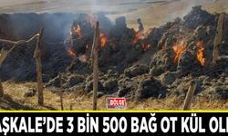 Başkale’de 3 bin 500 bağ ot kül oldu