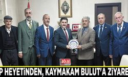 BBP heyetinden, Özalp Kaymakamı Bulut'a ziyaret…