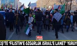 Erciş’te ‘Filistin'e özgürlük İsrail’e lanet’ yürüyüşü