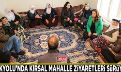 İpekyolu’nda kırsal mahalle ziyaretleri sürüyor