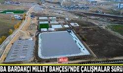 Tuşba Bardakçı Millet Bahçesi’nde çalışmalar sürüyor