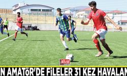Van Amatör'de fileler 31 kez havalandı