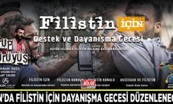 Van'da Filistin için dayanışma gecesi düzenlenecek