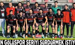 Van Gölüspor seriyi sürdürmek istiyor