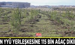Van YYÜ yerleşkesine 115 bin ağaç dikildi