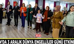 Van’da 3 Aralık Dünya Engelliler Günü etkinliği