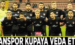 Vanspor kupaya veda etti