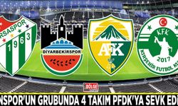 Vanspor'un grubunda 4 takım PFDK'ya sevk edildi
