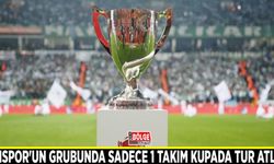 Vanspor'un grubunda sadece 1 takım kupada tur atladı