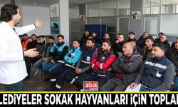 Belediyeler sokak hayvanları için toplandı