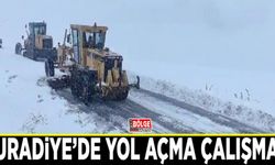 Muradiye’de yol açma çalışması