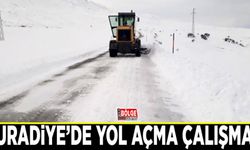 Muradiye’de yol açma çalışması