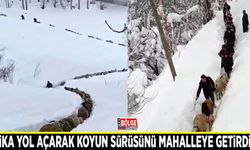 Patika yol açarak koyun sürüsünü mahalleye getirdiler