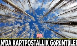Van'da kartpostallık görüntüler...