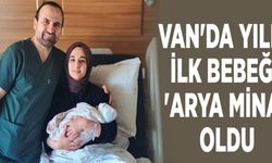 Van'da yılın ilk bebeği 'Arya Mina’ oldu