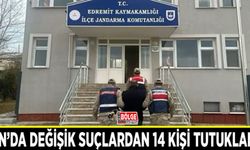 Van’da değişik suçlardan 14 kişi tutuklandı