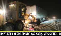 Van’ın yüksek kesimlerinde kar yağışı ve sis etkili oldu