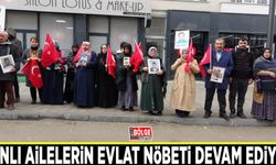 Vanlı ailelerin evlat nöbeti devam ediyor