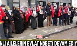 Vanlı ailelerin evlat nöbeti devam ediyor