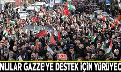 Vanlılar Gazze'ye destek için yürüyecek
