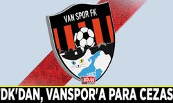 PFDK'dan, Vanspor'a para cezası…
