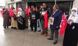 Van'da ailelerin evlat nöbeti sürüyor