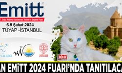 Van EMİTT 2024 Fuarı’nda tanıtılacak