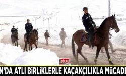 Van’da atlı birliklerle kaçakçılıkla mücadele