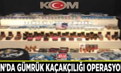 Van’da gümrük kaçakçılığı operasyonu