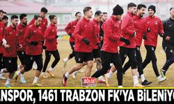 Vanspor, 1461 Trabzon FK'ya bileniyor