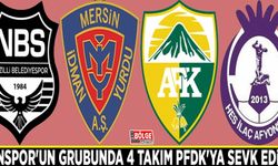 Vanspor'un grubunda 4 takım PFDK'ya sevk edildi