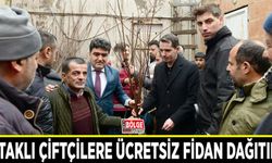 Çataklı çiftçilere ücretsiz fidan dağıtıldı