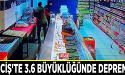 Erciş'te 3.6 büyüklüğünde deprem...