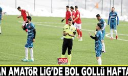 Van Amatör Lig'de bol gollü hafta...