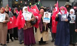 Van'da ailelerin evlat nöbeti sürüyor