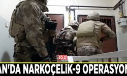 Van'da Narkoçelik-9 operasyonu