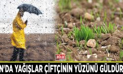Van'da yağışlar çiftçinin yüzünü güldürdü