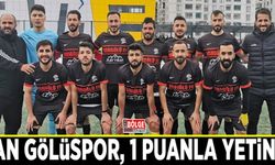 Van Gölüspor, 1 puanla yetindi