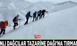 Vanlı dağcılar Tazarine Dağı'na tırmandı