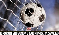 Vanspor'un grubunda 3 takım PFDK'ya sevk edildi