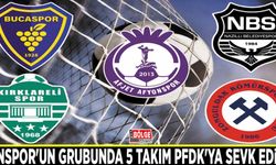 Vanspor'un grubunda 5 takım PFDK'ya sevk edildi