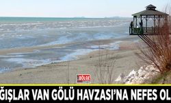 Yağışlar Van Gölü Havzası’na nefes oldu
