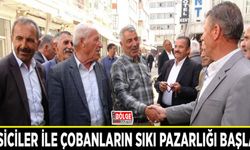 Besiciler ile çobanların sıkı pazarlığı başladı