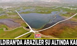 Çaldıran’da araziler su altında kaldı