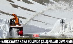Van-Bahçesaray kara yolunda çalışmalar devam ediyor