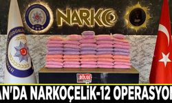 Van'da Narkoçelik-12 operasyonu